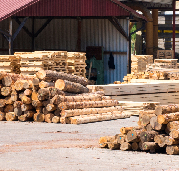 Phu Tai wood processing facility