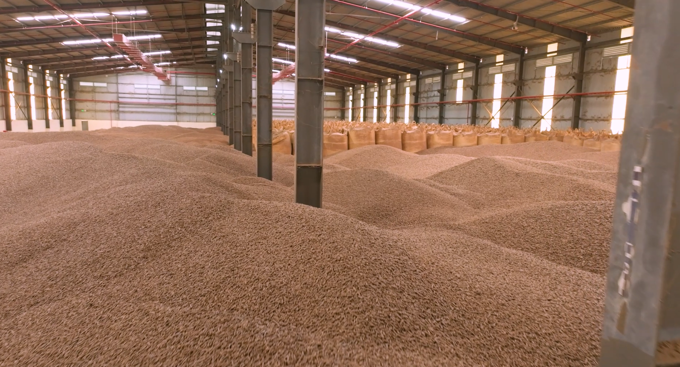 Bagging & Bulk Storage