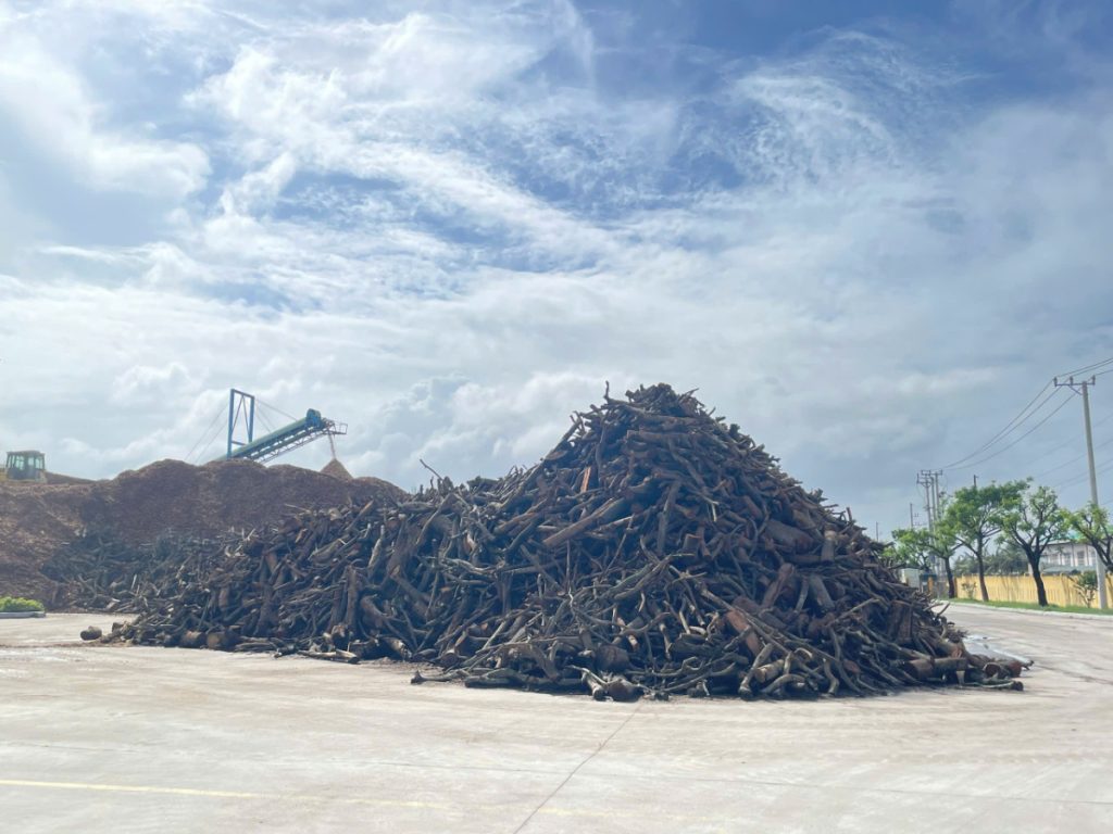Logs and twigs raw material storage yard at a Phu Tai wood pellet plant, capacity 12,000 tons